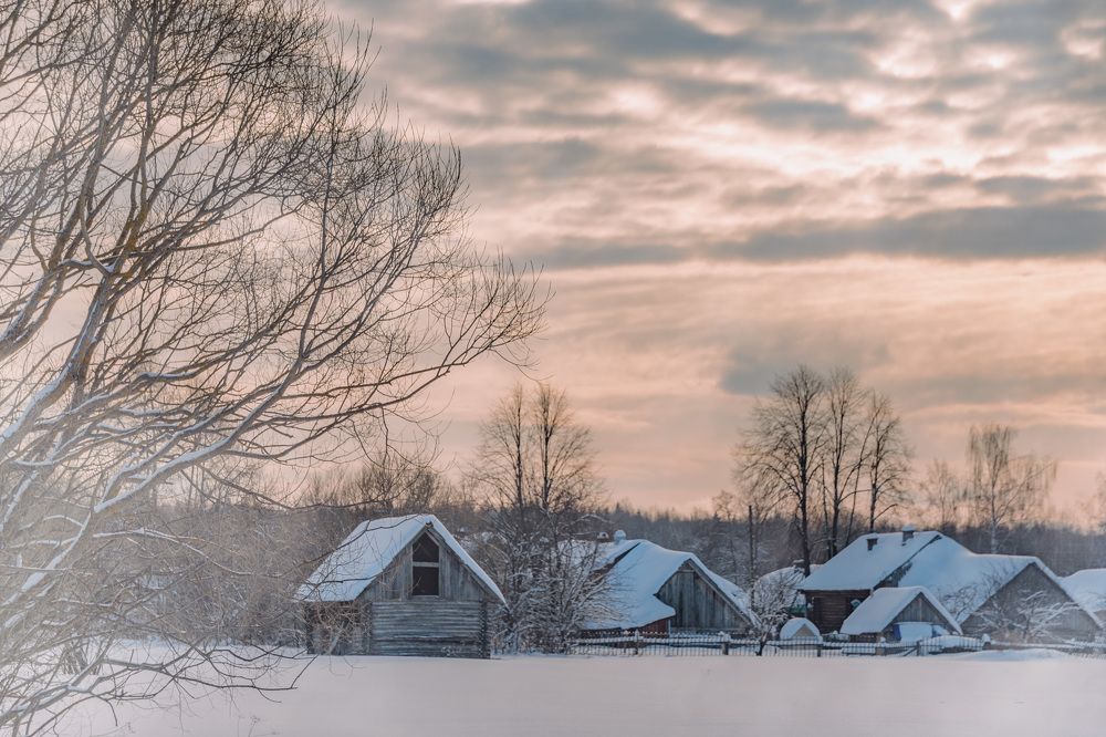 Photograph by Елена Ефимова