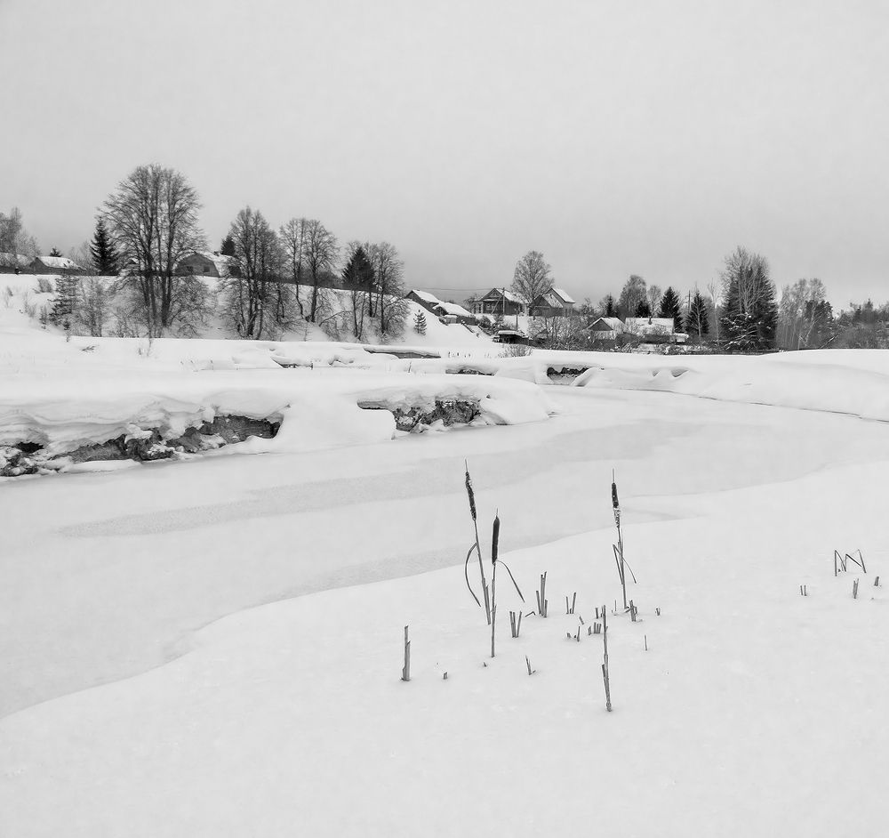 Photograph by Андреев Николай