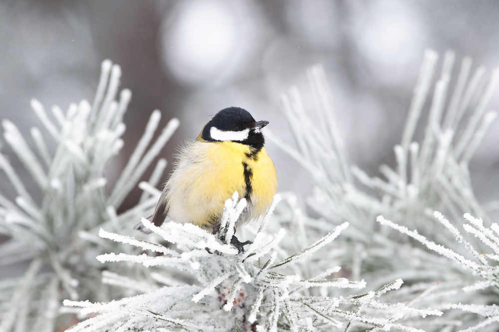 Photograph by Павел Сторчилов