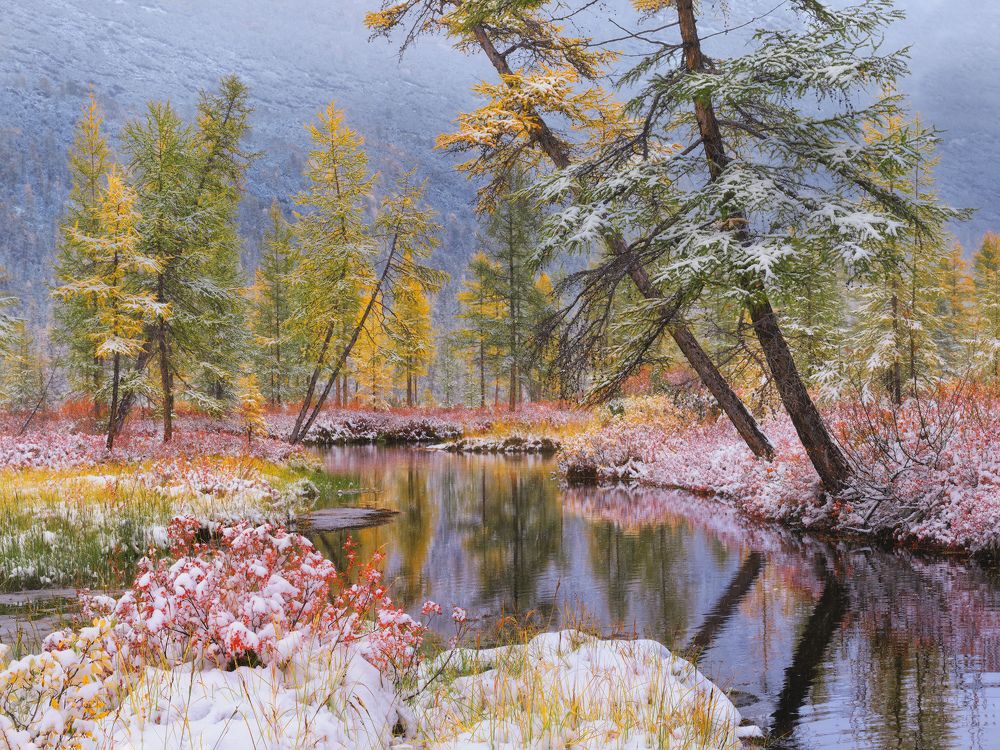 Осенний контраст