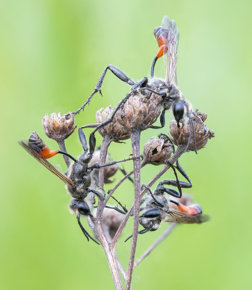 Photograph by Глеб Коровко