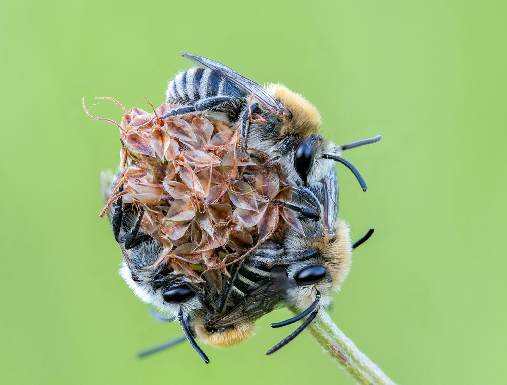 Photograph by Глеб Коровко