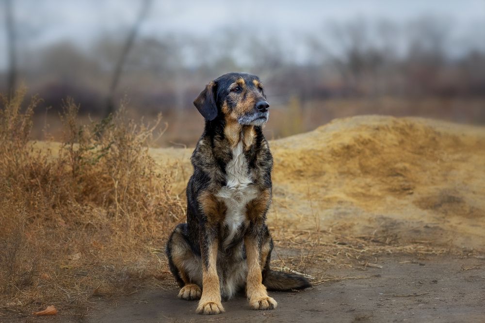 Photograph by Александр Канцур