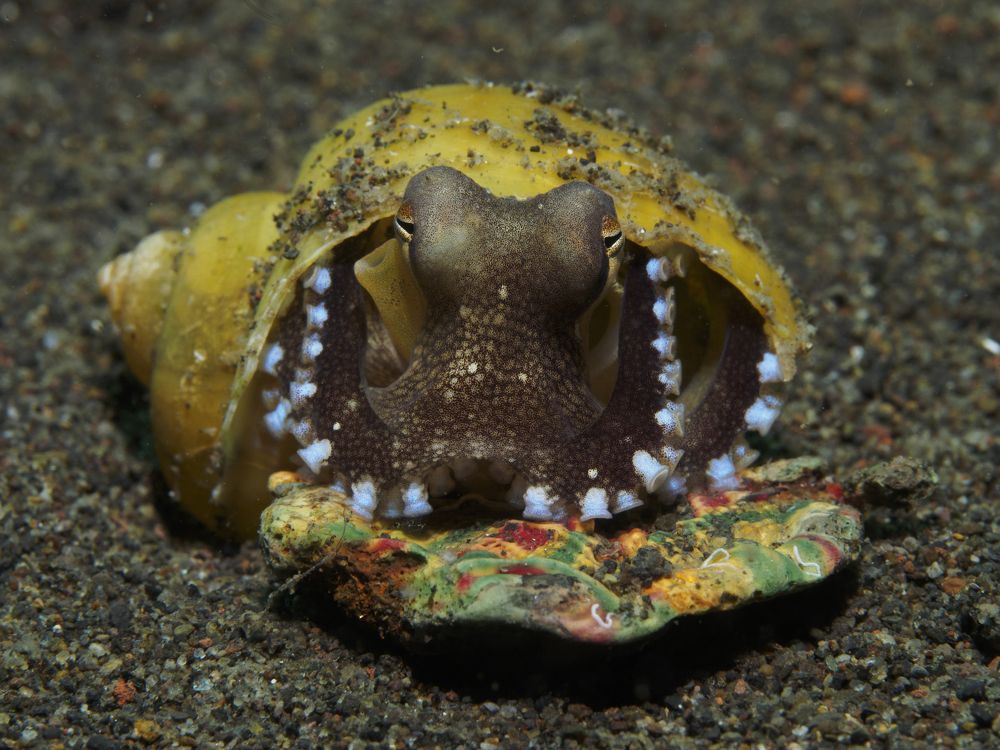 Photograph by Aldo Galante