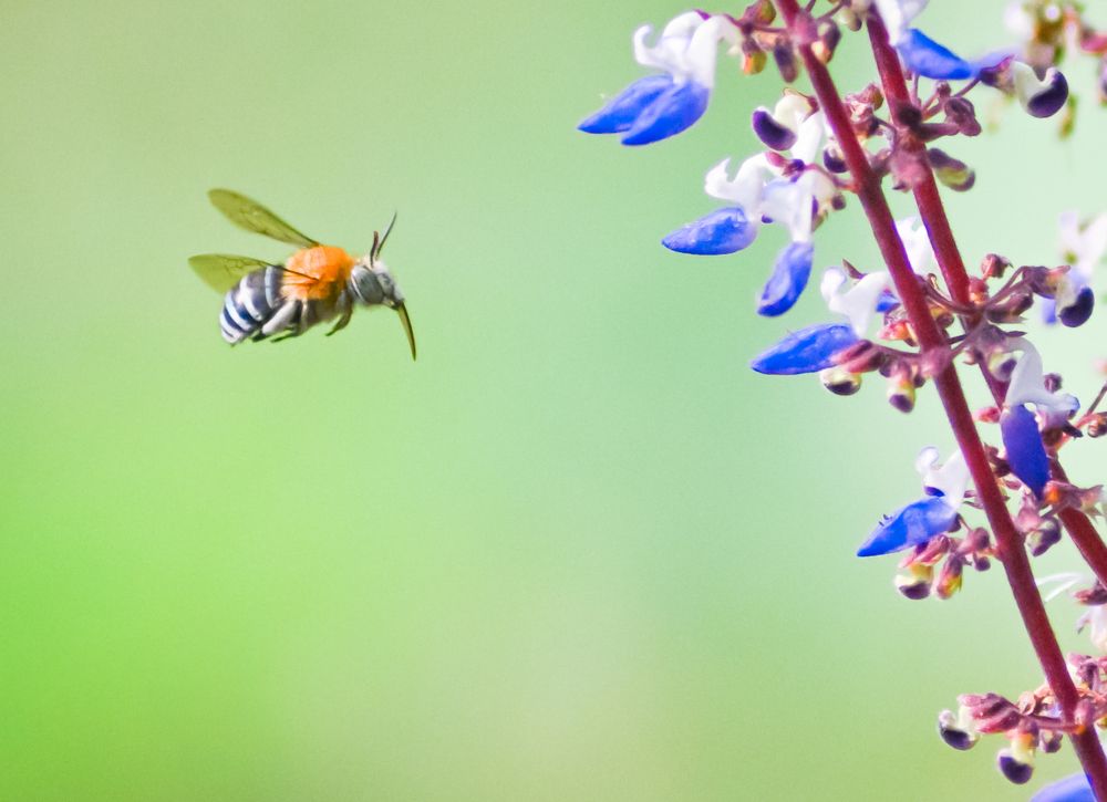 Photograph by Arindam Sahoo