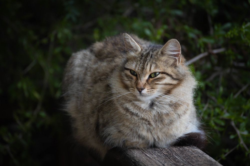 Photograph by Antonis Papaconstantinou