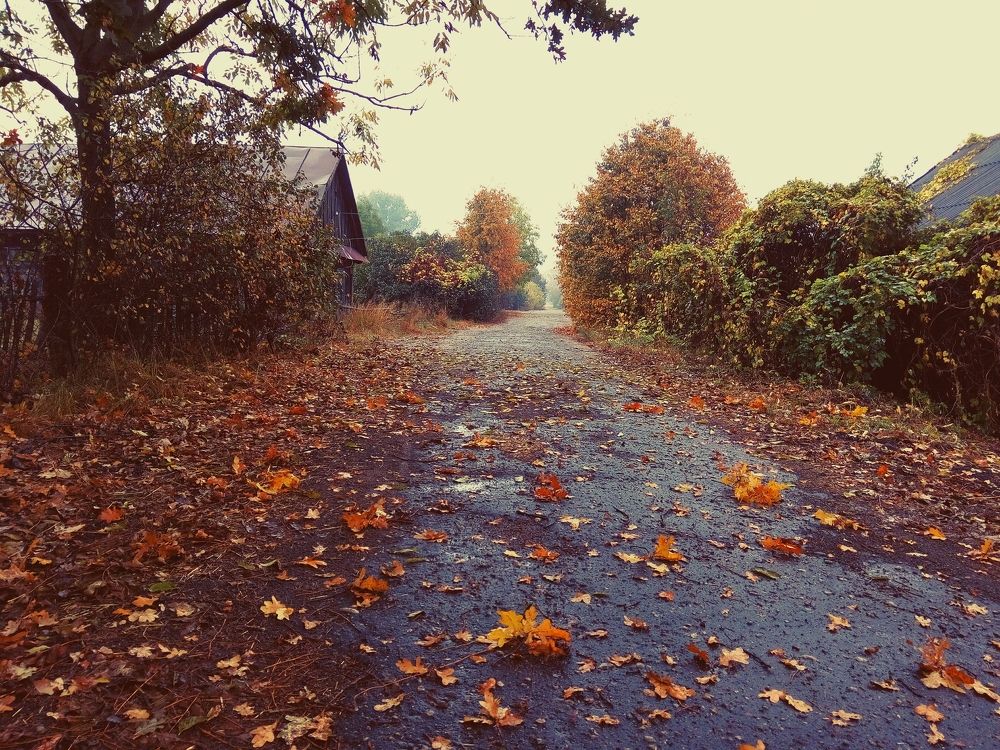 Фотография автора Андрей