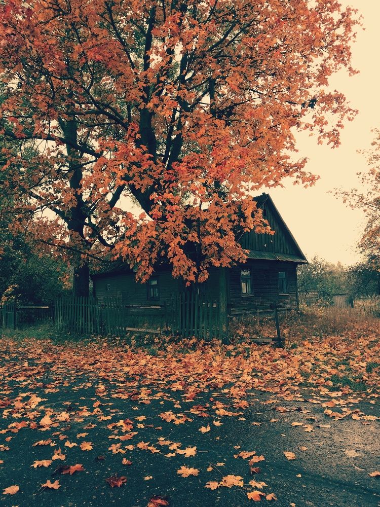 Фотография автора Андрей