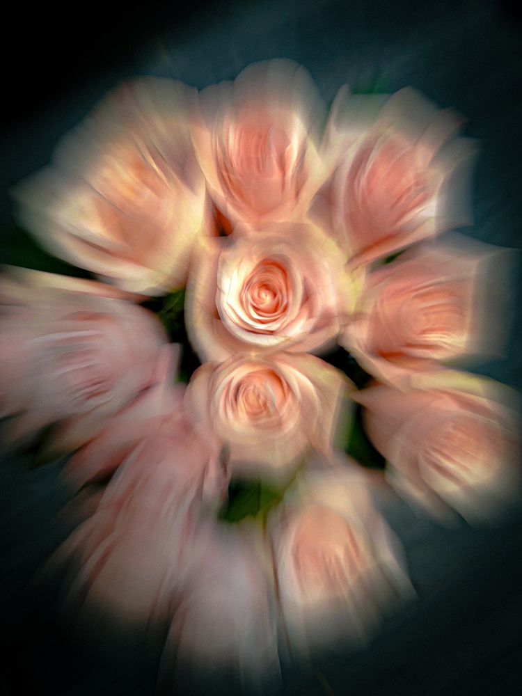 Photograph by Екатерина