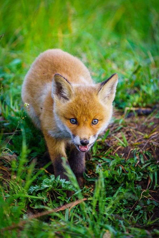 Photograph by Барабанов Алексей