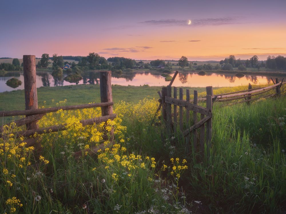 Photograph by Dmitry Medyancev