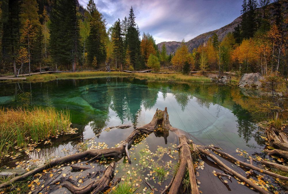 Photograph by Чичкин Валерий