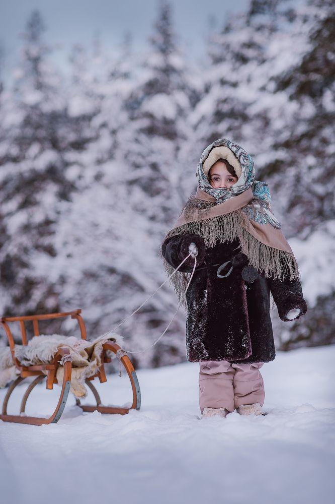 Зимняя сказка.