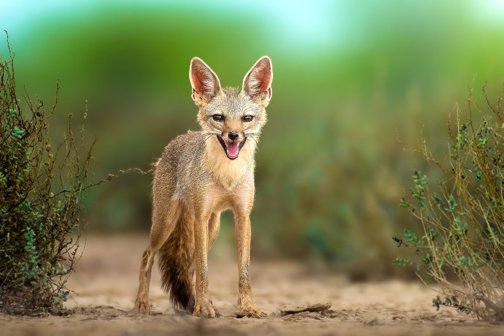 Photograph by kansara parth