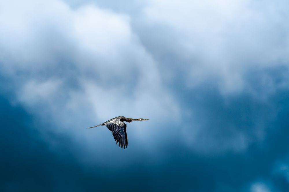 Photograph by kansara parth