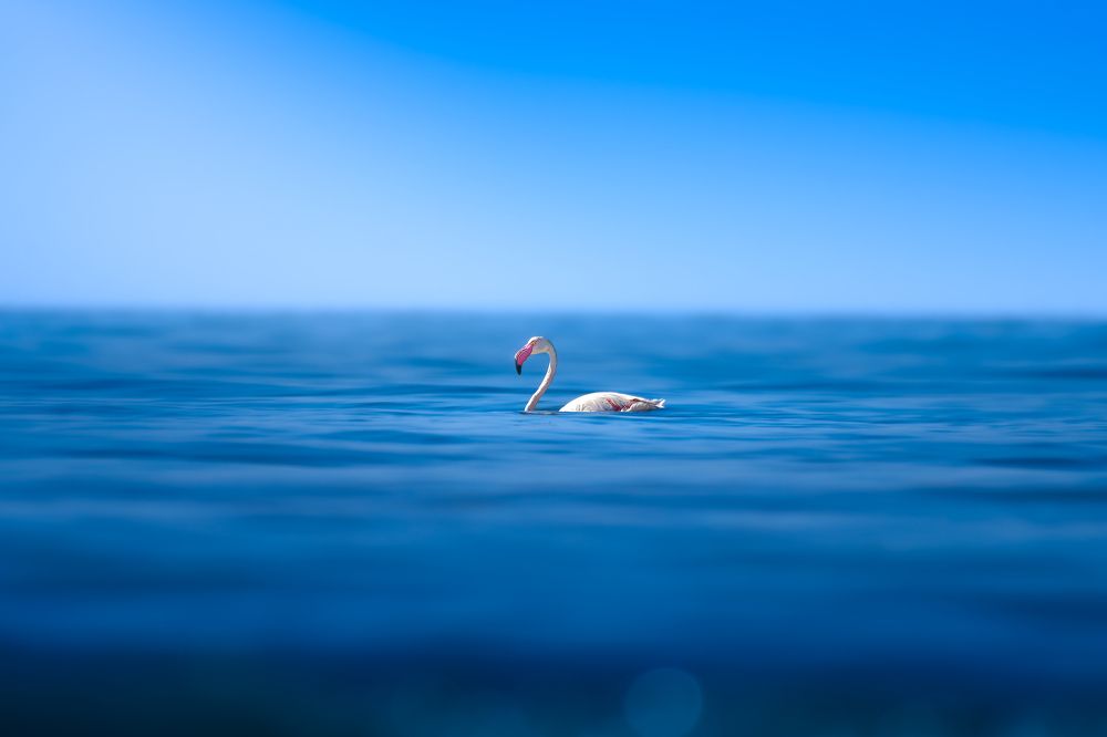 Photograph by kansara parth