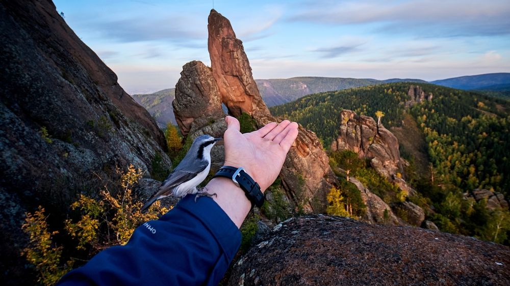 Photograph by Багурский Алексей