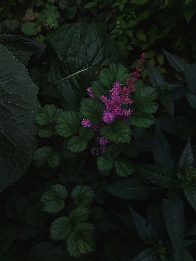 Photograph by Елена Ельчанинова