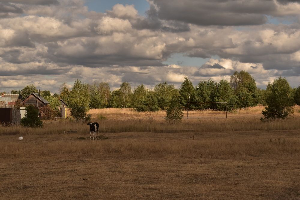 Photograph by Татьяна Носкович