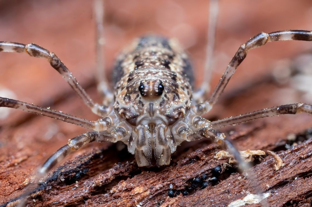 Photograph by Глеб Коровко