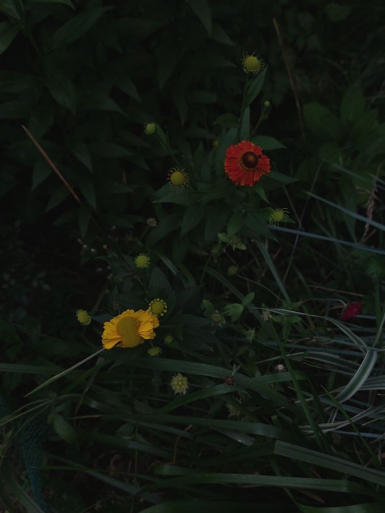 Photograph by Елена Ельчанинова