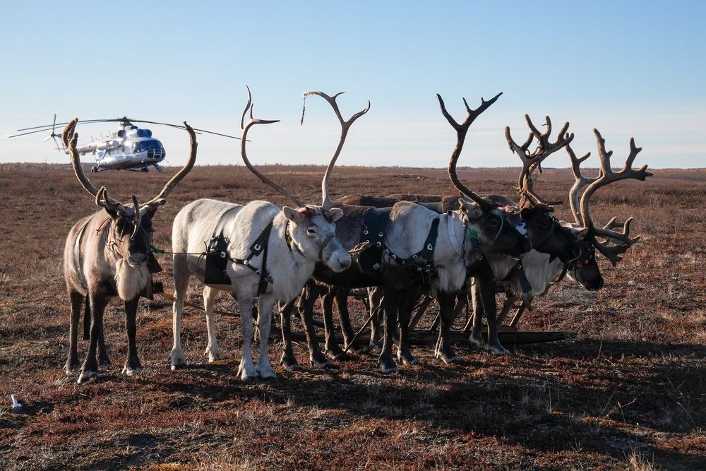 Photograph by Александр Паханов