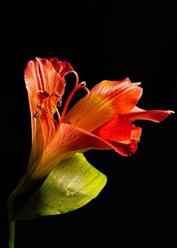 Фотография автора Anna Tikka