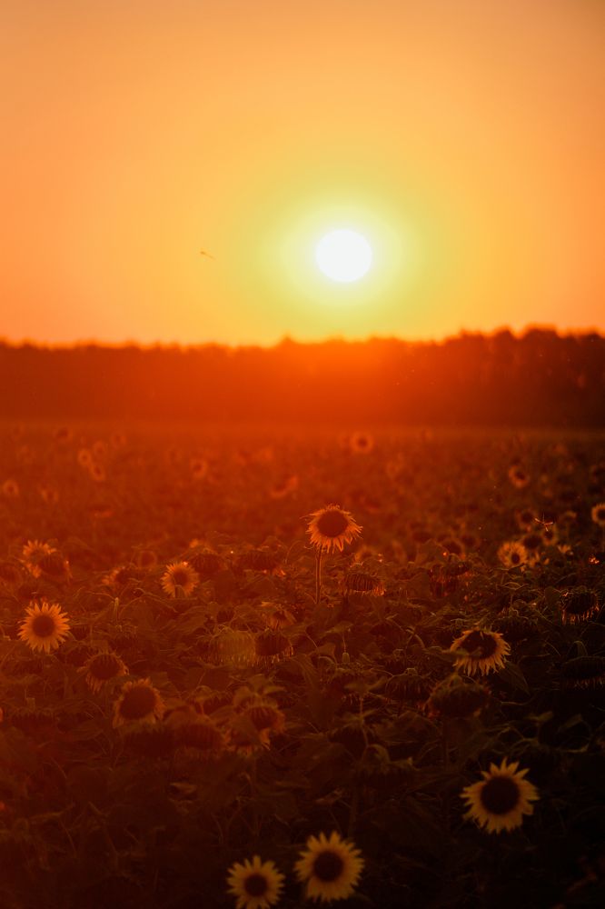 Photograph by Антон Вотяков