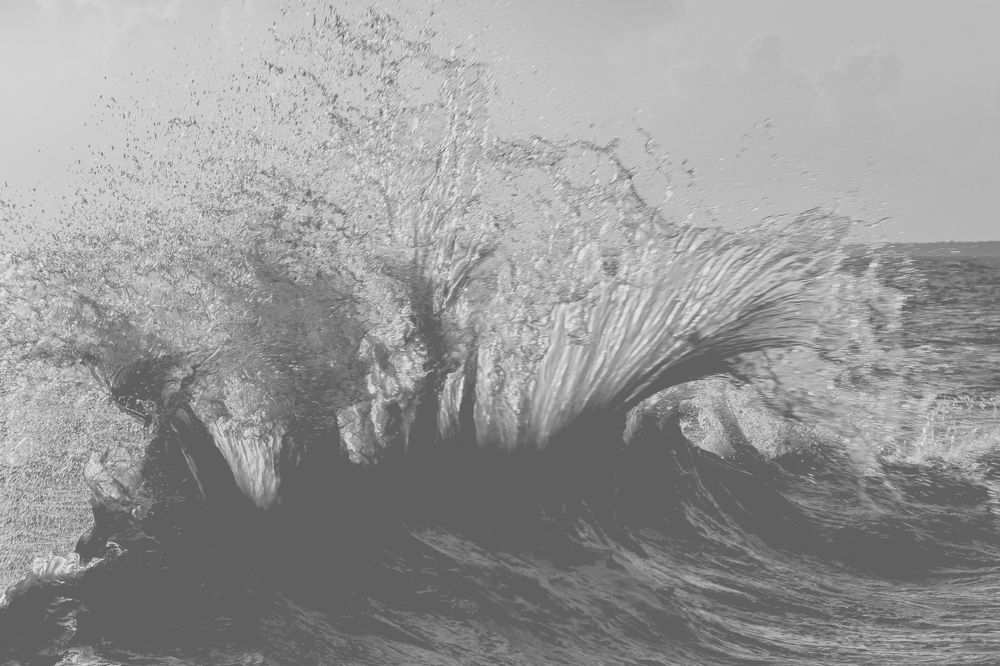 Photograph by Yudeny Lopez