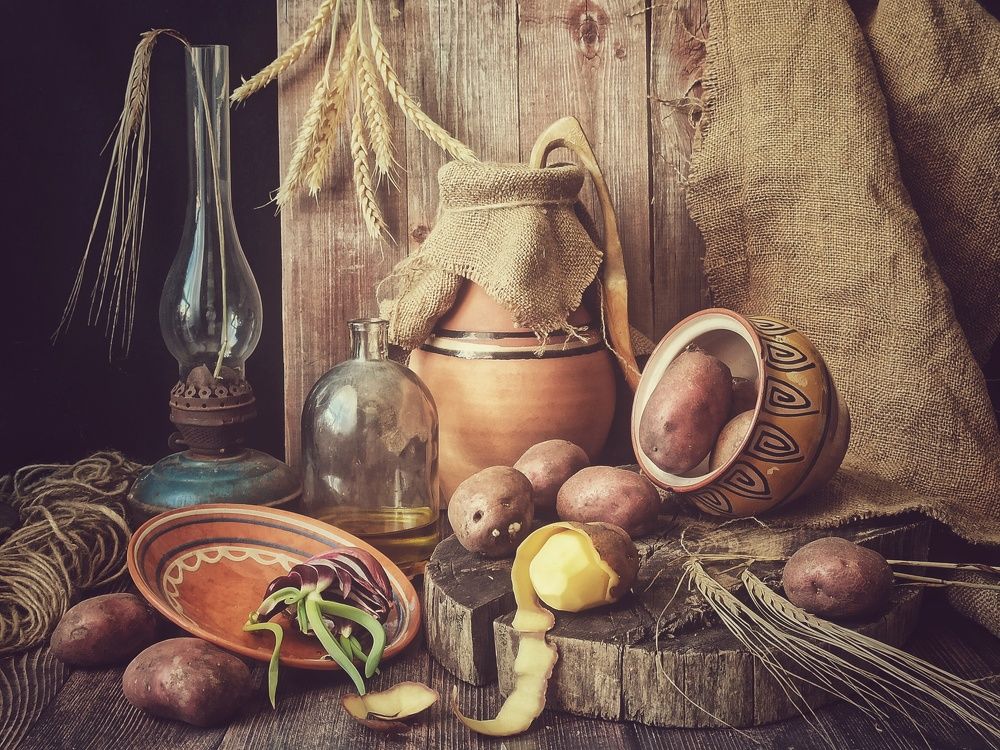 Photograph by Новикова Елена Сергеевна