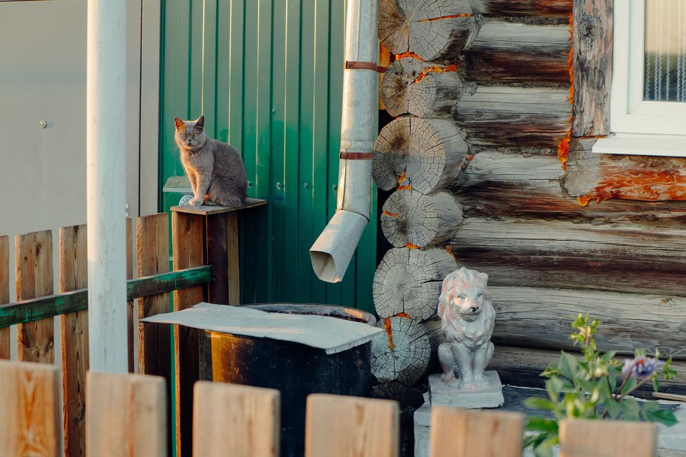 Photograph by Антон Вотяков