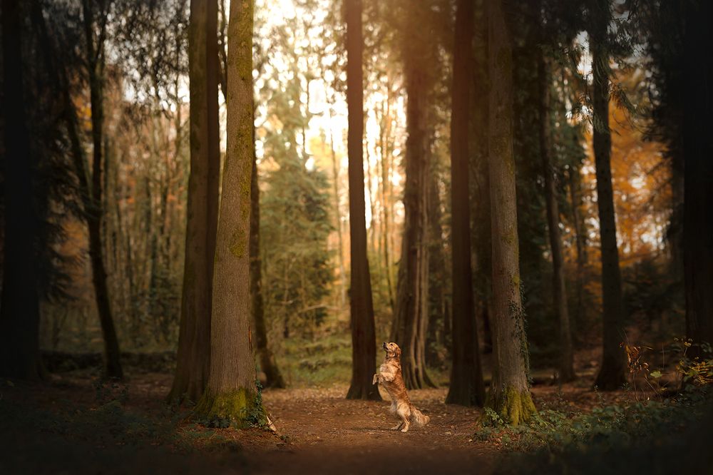 Photograph by Laura Quintanel