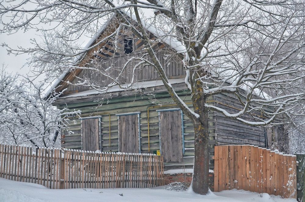 Фотография автора Olga Belikova