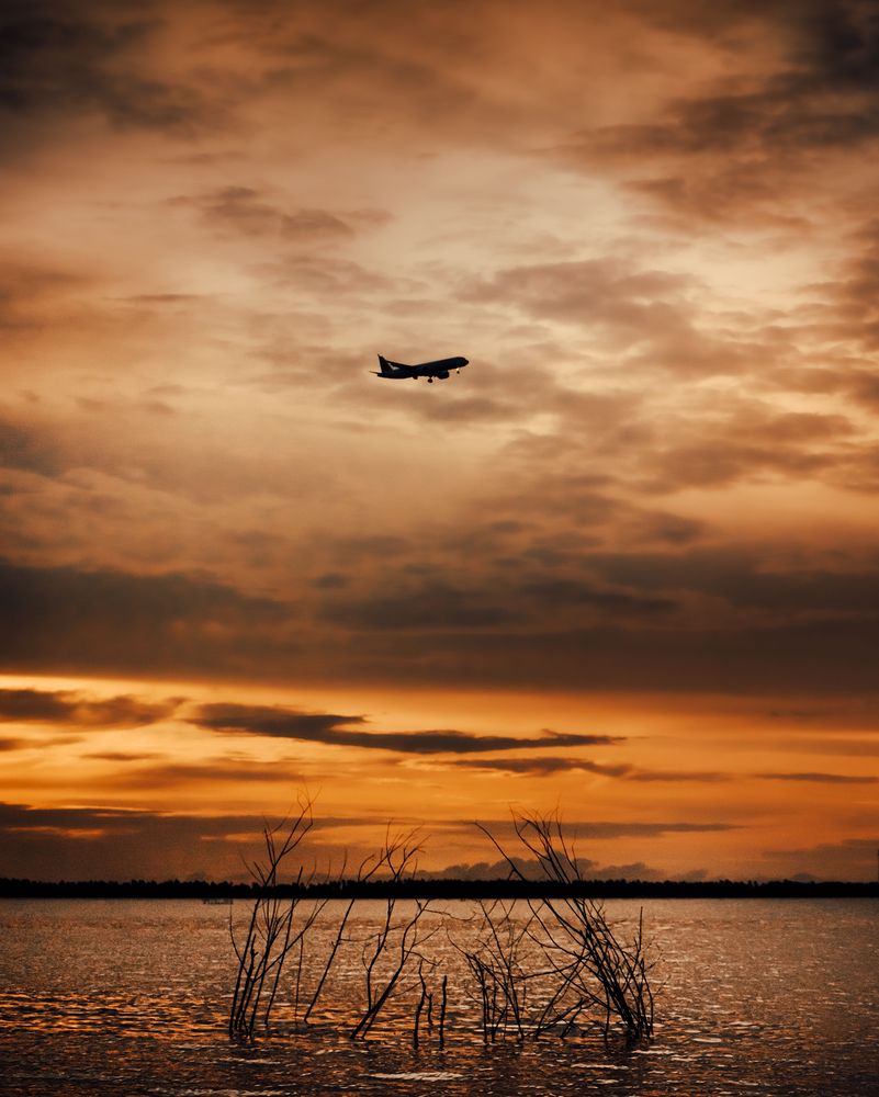 Photograph by Damith Gihan