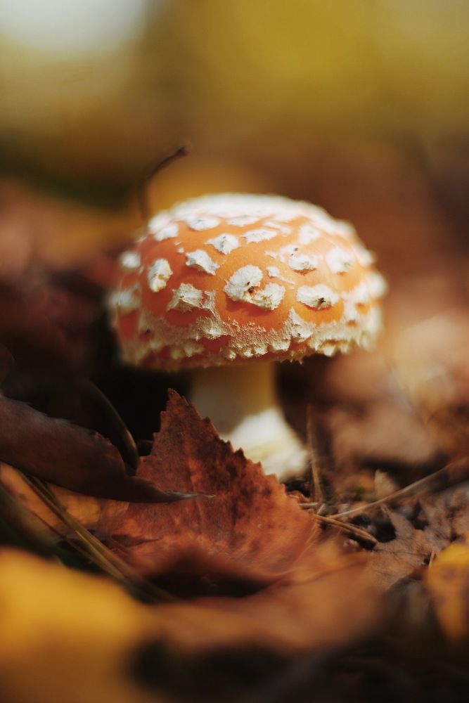 Photograph by Наталья Новкис