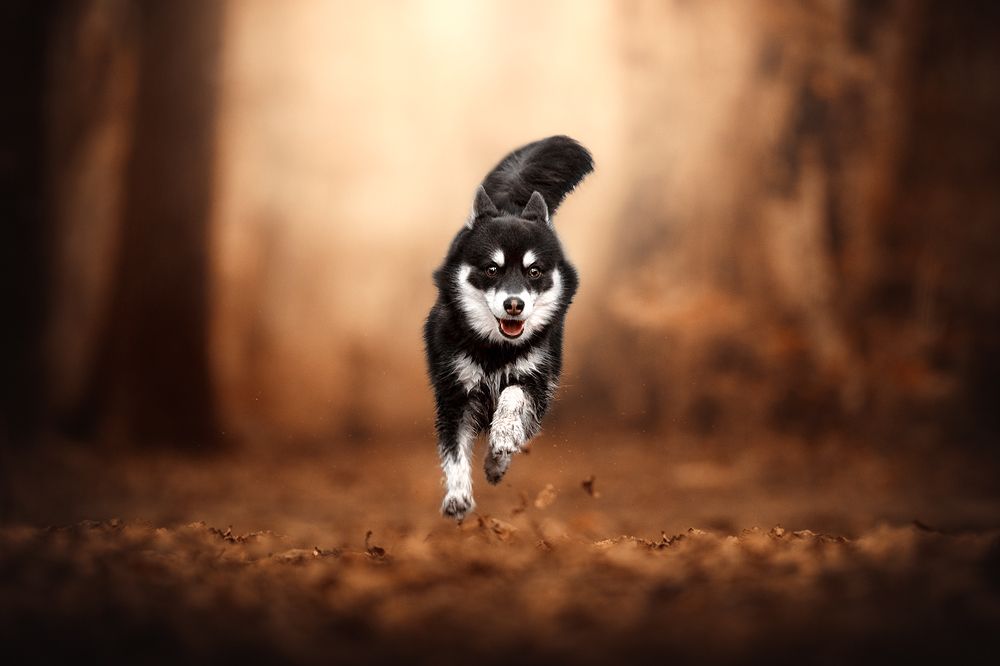 Photograph by Laura Quintanel