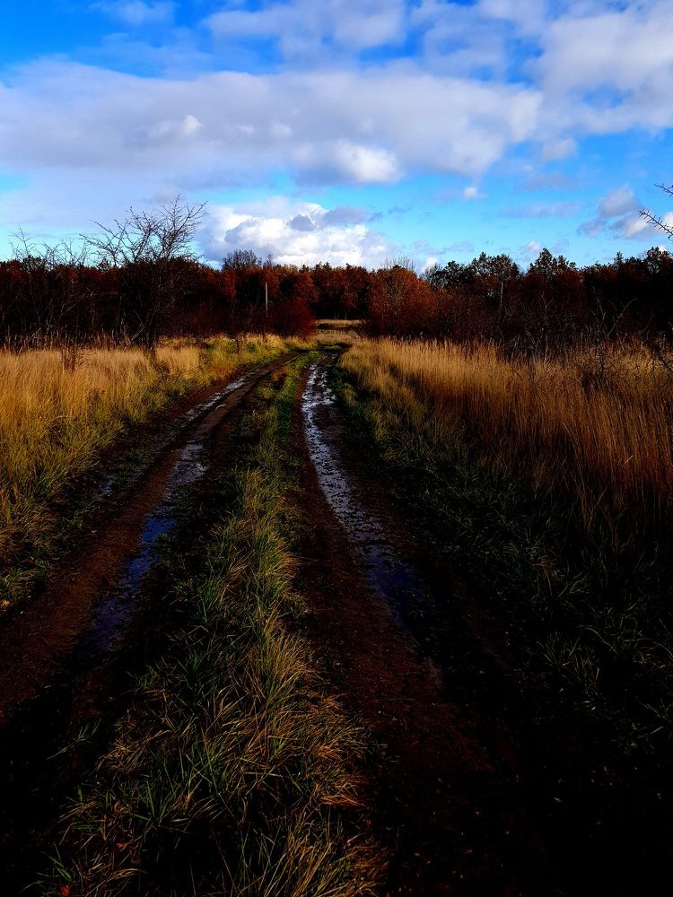 Photograph by Максим Бегунков