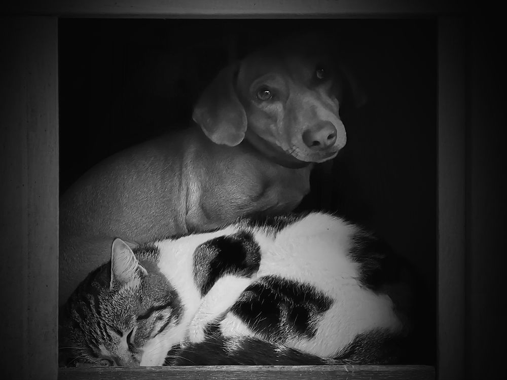 Photograph by Владимир Каюков