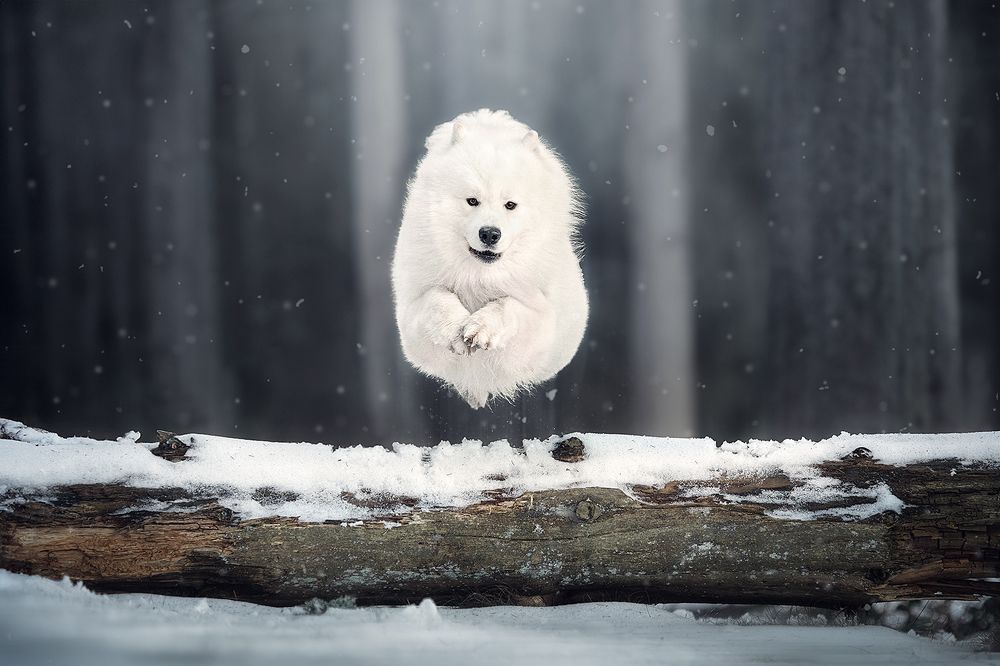 Photograph by Laura Quintanel