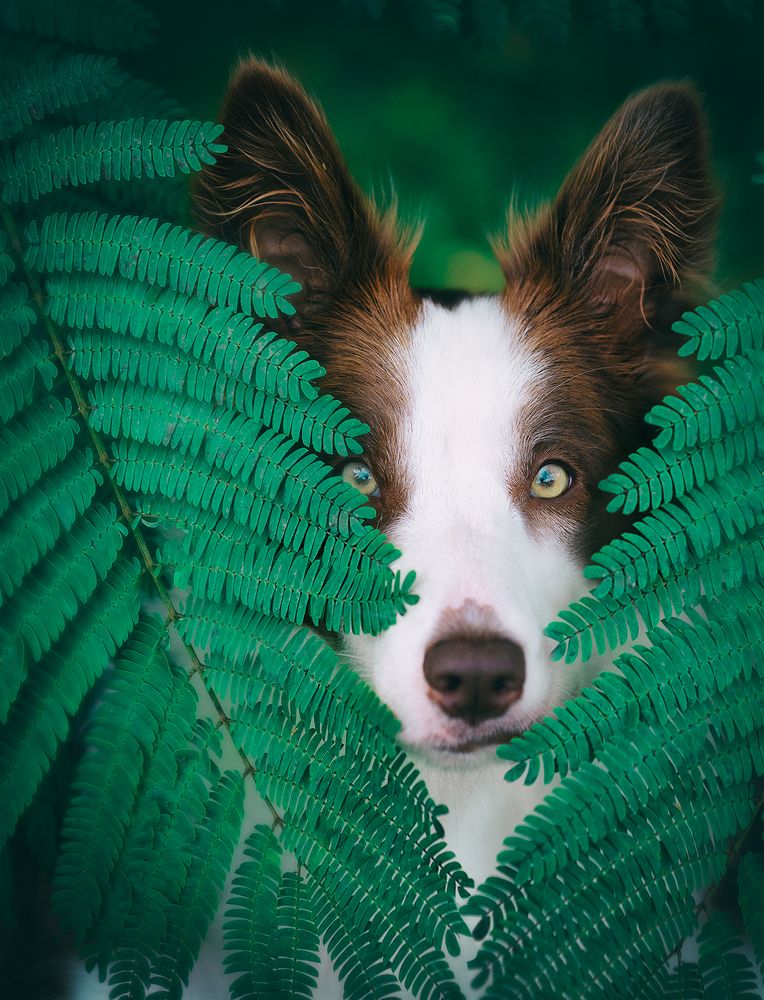 Фотография автора Noa Táboas