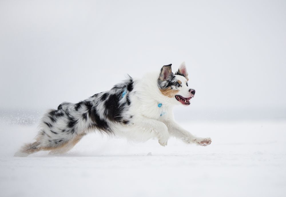 Photograph by Марина Кобелева