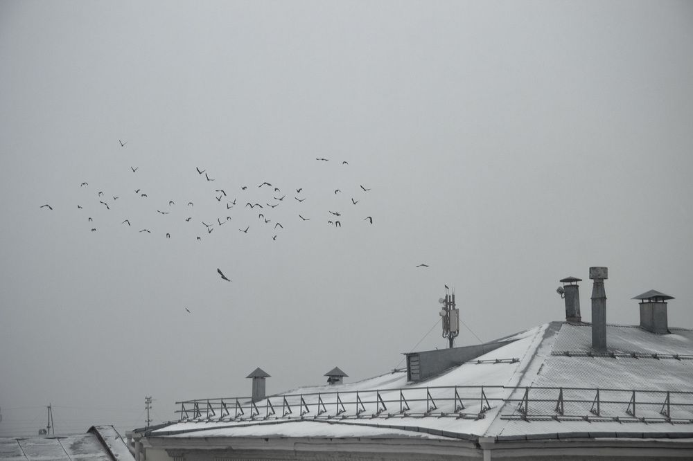 Фотография автора Андрей Рогов