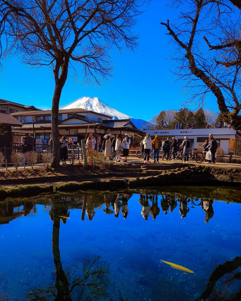 Photograph by Chris Codoy