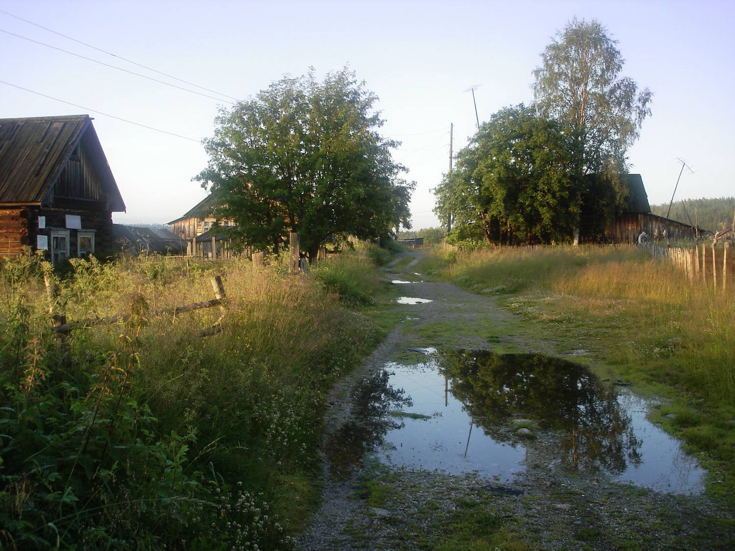 Photo #10288420