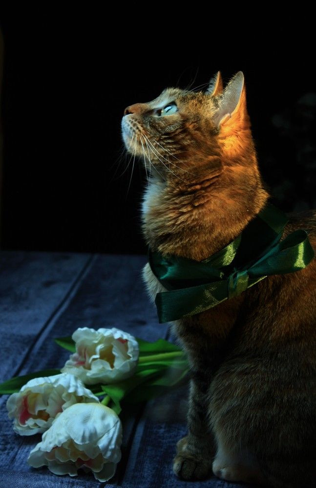 Photograph by Кира Иванова