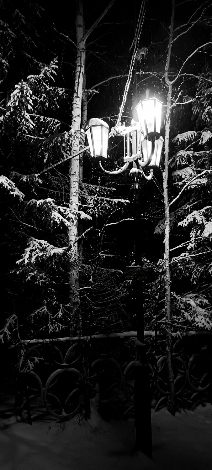 Photo #10288626