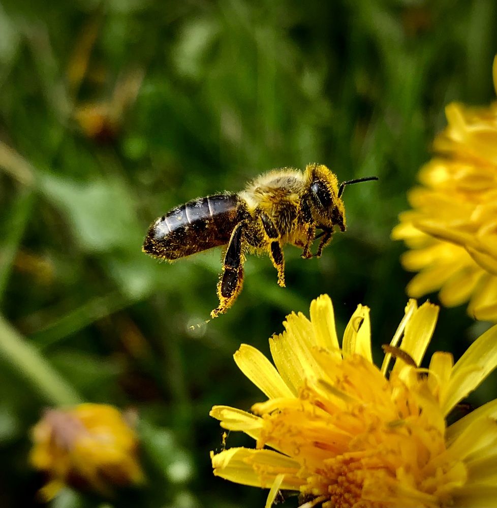 Фотография автора Евгения Елисеева