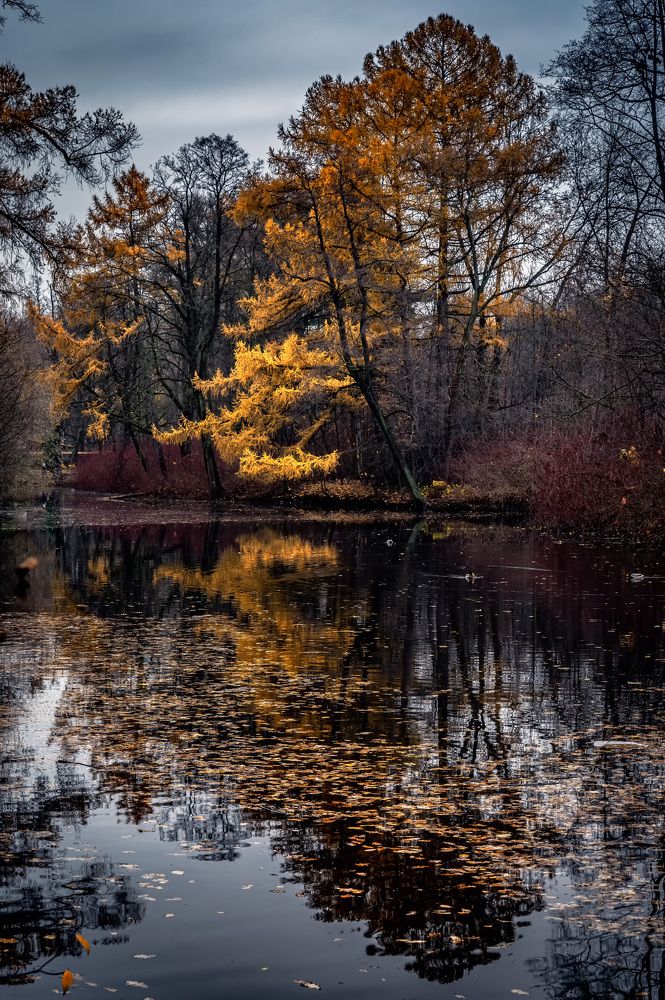 Уходящая осень