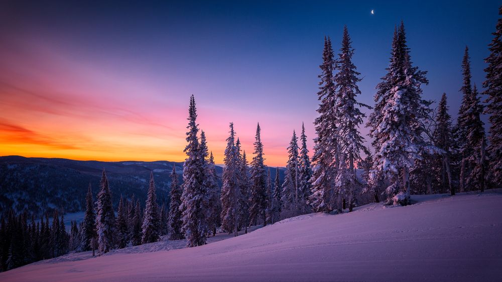 Photograph by Андреев Сергей