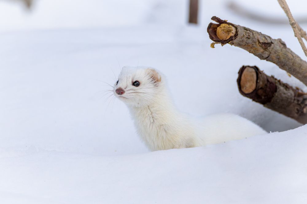 Photograph by Антон Науменко